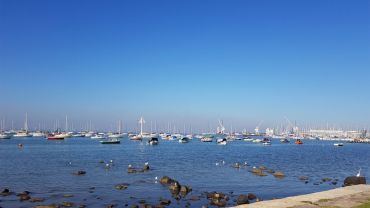 Investment Property Williamstown